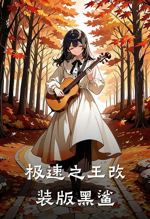 极速之王改装版黑鲨